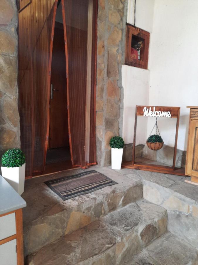 Guest House Lazar Raykov Ribarica Exterior photo